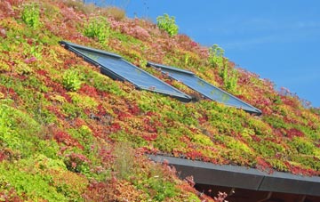 Goadby living roof systems