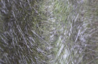 Goadby fibreglass roof work